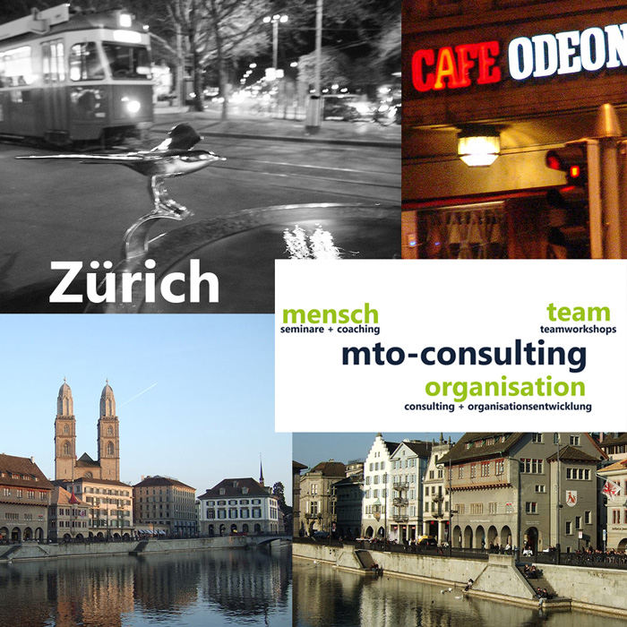 durchsetzen überzeugen Zürich Seminare + Coaching Dipl.-Psych. Jürgen Junker Dipl.-Soz. Isabella Junker MTO-Consulting Mensch, Team, Organisation